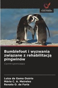 bokomslag Bumblefoot i wyzwania zwi?zane z rehabilitacj? pingwinów