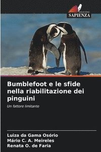 bokomslag Bumblefoot e le sfide nella riabilitazione dei pinguini