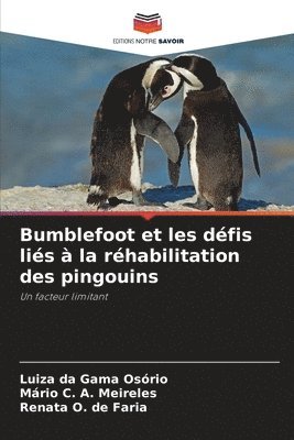 bokomslag Bumblefoot et les défis liés à la réhabilitation des pingouins
