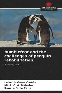 bokomslag Bumblefoot and the challenges of penguin rehabilitation