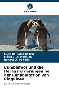 bokomslag Bumblefoot und die Herausforderungen bei der Rehabilitation von Pinguinen