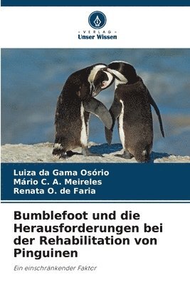 Luiza Da Gama Osório, Mário C. a. Meireles, Luiza da Gama Osório, Mário C. A. Meireles, Renata O. de Faria - Bumblefoot und die Herausforderungen bei der Rehabilitation von Pinguinen, Häftad