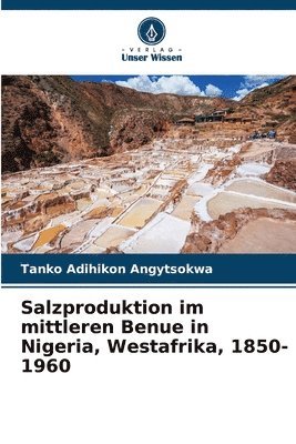 bokomslag Salzproduktion im mittleren Benue in Nigeria, Westafrika, 1850-1960
