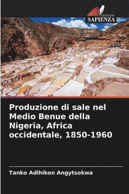 Tanko Adihikon Angytsokwa - Produzione di sale nel Medio Benue della Nigeria, Africa occidentale, 1850-1960, Häftad