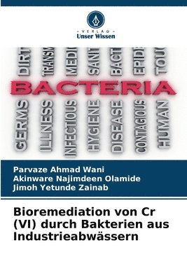 Parvaze Ahmad Wani, Akinware Najimdeen Olamide, Jimoh Yetunde Zainab - Bioremediation von Cr (VI) durch Bakterien aus Industrieabwässern, Häftad