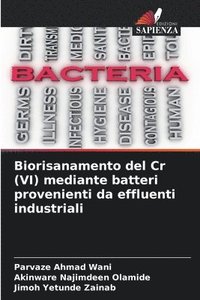 bokomslag Biorisanamento del Cr (VI) mediante batteri provenienti da effluenti industriali