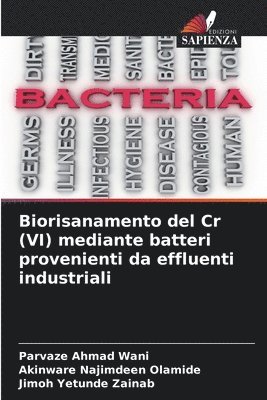 Parvaze Ahmad Wani, Akinware Najimdeen Olamide, Jimoh Yetunde Zainab - Biorisanamento del Cr (VI) mediante batteri provenienti da effluenti industriali, Häftad