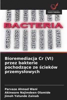 Parvaze Ahmad Wani, Akinware Najimdeen Olamide, Jimoh Yetunde Zainab - Bioremediacja Cr (VI) przez bakterie pochodzące ze ścieków przemyslowych, Häftad