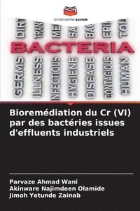 bokomslag Bioremédiation du Cr (VI) par des bactéries issues d'effluents industriels