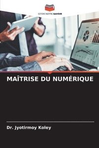 bokomslag Maîtrise Du Numérique