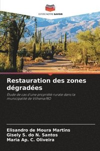 bokomslag Restauration des zones dégradées