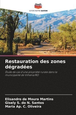 bokomslag Restauration des zones dégradées