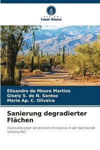 bokomslag Sanierung degradierter Flächen