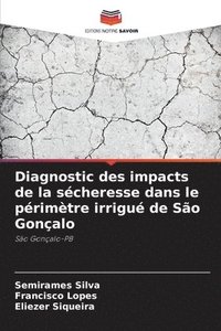 bokomslag Diagnostic des impacts de la sécheresse dans le périmètre irrigué de São Gonçalo