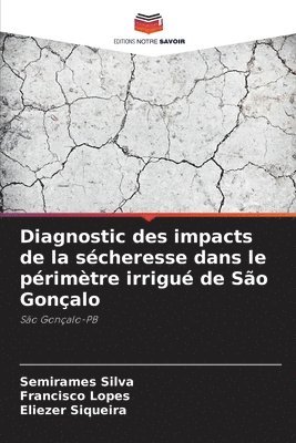 bokomslag Diagnostic des impacts de la sécheresse dans le périmètre irrigué de São Gonçalo