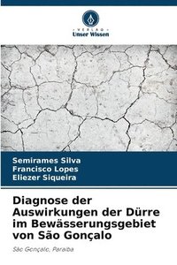 bokomslag Diagnose der Auswirkungen der Dürre im Bewässerungsgebiet von São Gonçalo
