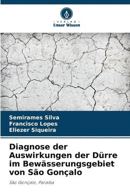 bokomslag Diagnose der Auswirkungen der Dürre im Bewässerungsgebiet von São Gonçalo