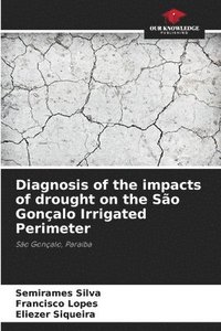bokomslag Diagnosis of the impacts of drought on the São Gonçalo Irrigated Perimeter