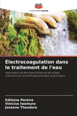 bokomslag Électrocoagulation dans le traitement de l'eau