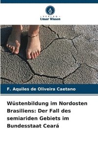 bokomslag Wüstenbildung im Nordosten Brasiliens: Der Fall des semiariden Gebiets im Bundesstaat Ceará