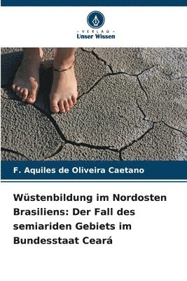 bokomslag Wüstenbildung im Nordosten Brasiliens: Der Fall des semiariden Gebiets im Bundesstaat Ceará
