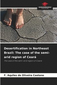 bokomslag Desertification in Northeast Brazil: The case of the semi-arid region of Ceará