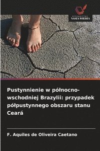 bokomslag Pustynnienie w pó¿nocno-wschodniej Brazylii: przypadek pó¿pustynnego obszaru stanu Ceará