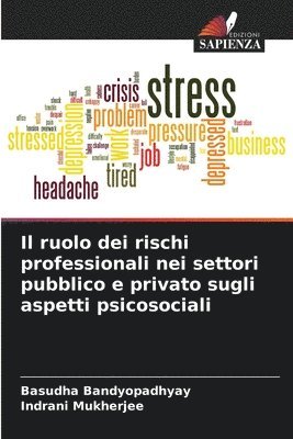 Basudha Bandyopadhyay, Indrani Mukherjee - ruolo dei rischi professionali nei settori pubblico e privato sugli aspetti psicosociali, Häftad