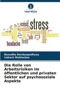 bokomslag Die Rolle von Arbeitsrisiken im öffentlichen und privaten Sektor auf psychosoziale Aspekte