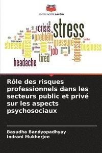 bokomslag Rôle des risques professionnels dans les secteurs public et privé sur les aspects psychosociaux