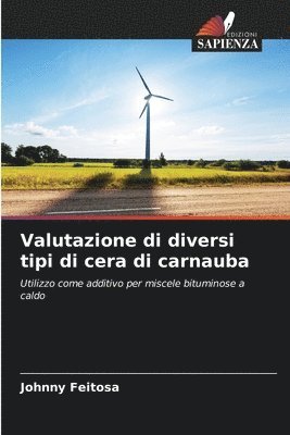 bokomslag Valutazione di diversi tipi di cera di carnauba