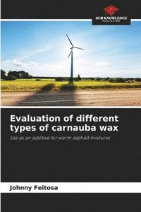 bokomslag Evaluation of different types of carnauba wax