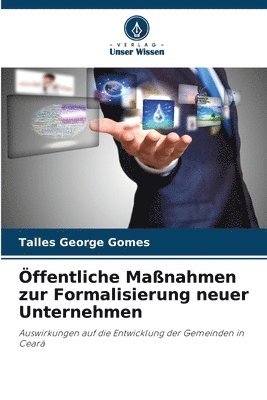 Talles George Gomes - Öffentliche Maßnahmen zur Formalisierung neuer Unternehmen, Häftad