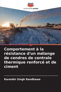 bokomslag Comportement à la résistance d'un mélange de cendres de centrale thermique renforcé et de ciment