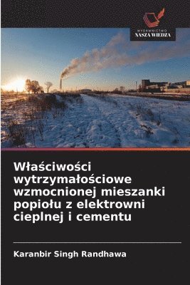 bokomslag Wla?ciwo?ci wytrzymalo?ciowe wzmocnionej mieszanki popiolu z elektrowni cieplnej i cementu