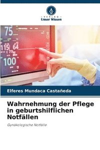 bokomslag Wahrnehmung der Pflege in geburtshilflichen Notfällen