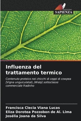 bokomslag Influenza del trattamento termico