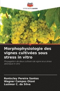 bokomslag Morphophysiologie des vignes cultivées sous stress in vitro