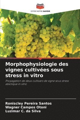 bokomslag Morphophysiologie des vignes cultivées sous stress in vitro