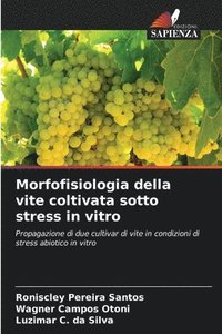 bokomslag Morfofisiologia della vite coltivata sotto stress in vitro