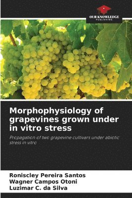 bokomslag Morphophysiology of grapevines grown under in vitro stress