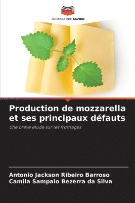 bokomslag Production de mozzarella et ses principaux défauts