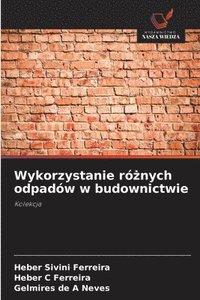 bokomslag Wykorzystanie ró?nych odpadów w budownictwie