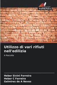bokomslag Utilizzo di vari rifiuti nell'edilizia