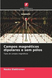 bokomslag Campos magnéticos dipolares e sem pólos