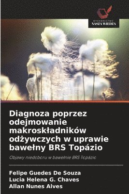 bokomslag Diagnoza poprzez odejmowanie makroskladników od?ywczych w uprawie bawelny BRS Topázio