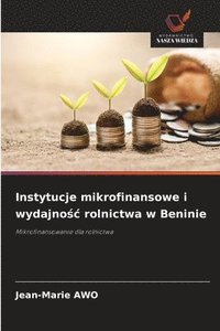 bokomslag Instytucje mikrofinansowe i wydajno?c rolnictwa w Beninie