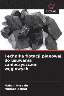 Maham Hussain, Mujtaba Ashraf - Technika flotacji pianowej do usuwania zanieczyszczeń węglowych, Häftad