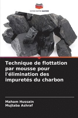 bokomslag Technique de flottation par mousse pour l'élimination des impuretés du charbon