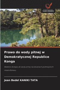 bokomslag Prawo do wody pitnej w Demokratycznej Republice Konga